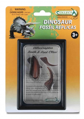 Tooth & Foot Claw of Velociraptor Box Set - 89291