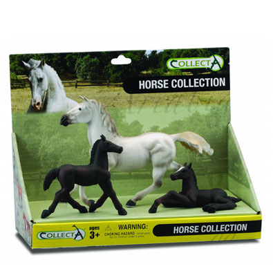 3pcs Horse Life Open Boxed Set - box-sets