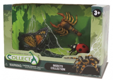 3 pcs Insects Open Boxed Set - 89669