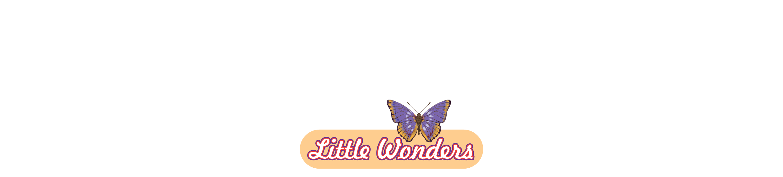 Little Wonders