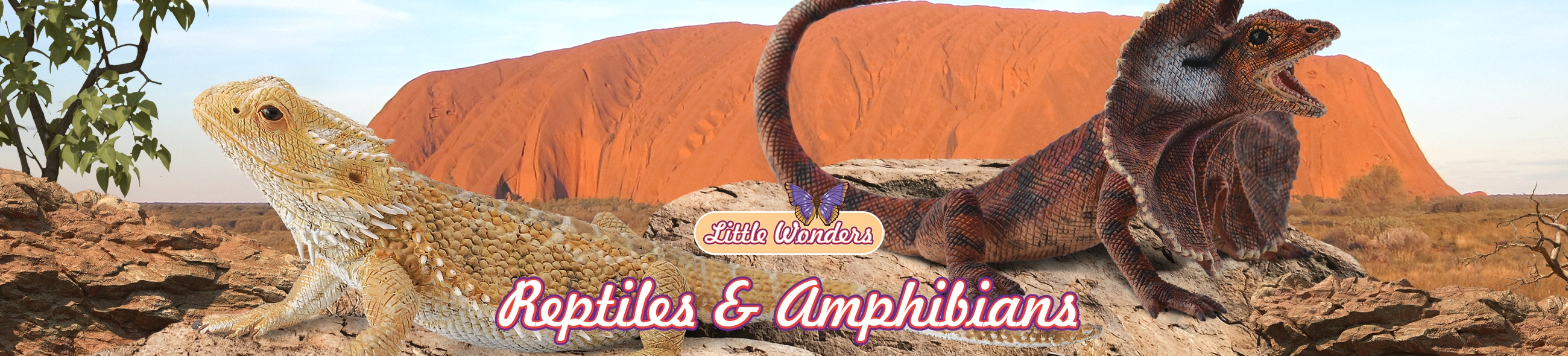 Reptiles & Amphibians