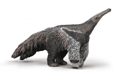 Giant Anteater - south-america