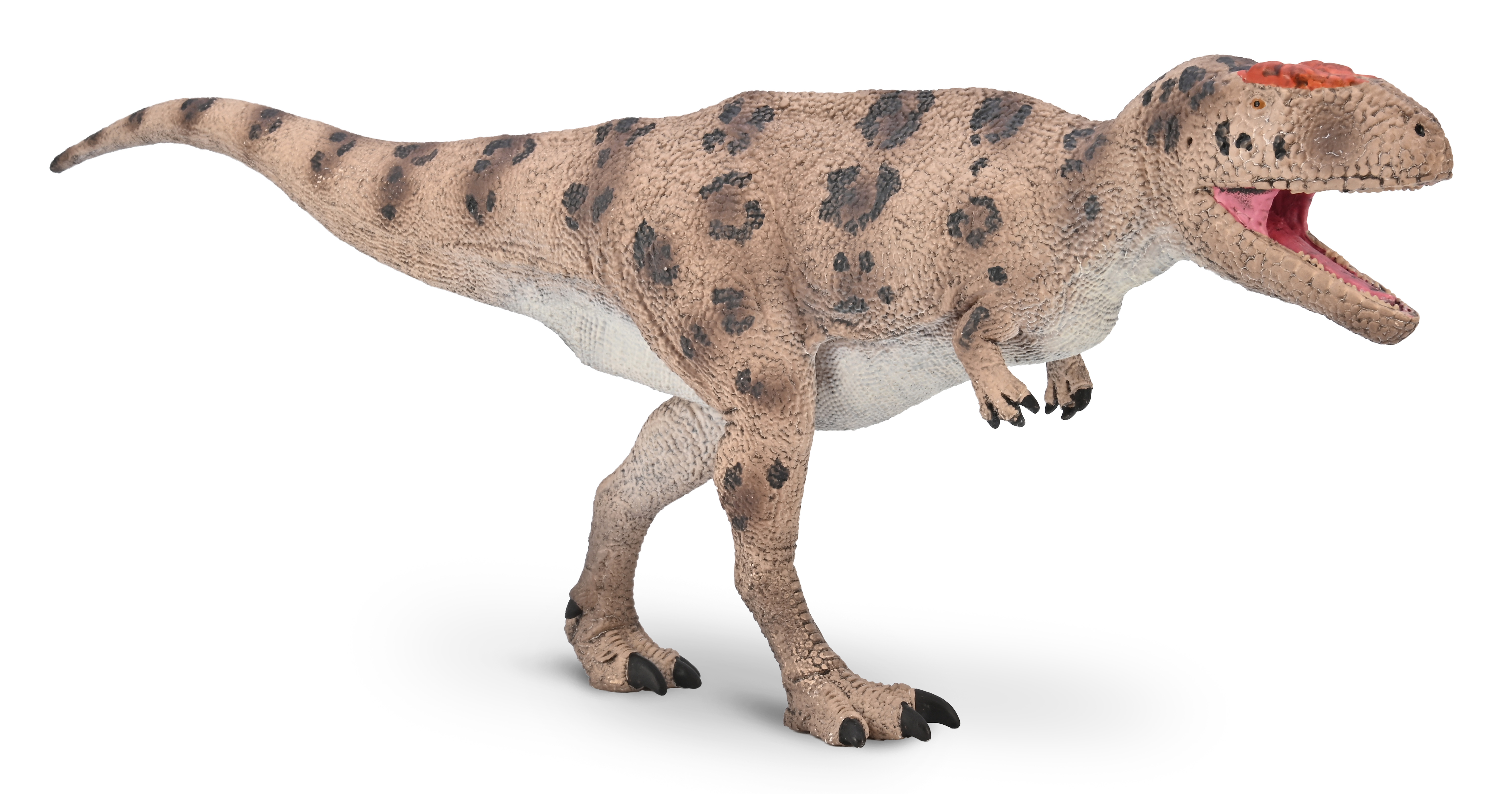 Meraxes gigas with movable jaw - Deluxe 1:40 Scale  