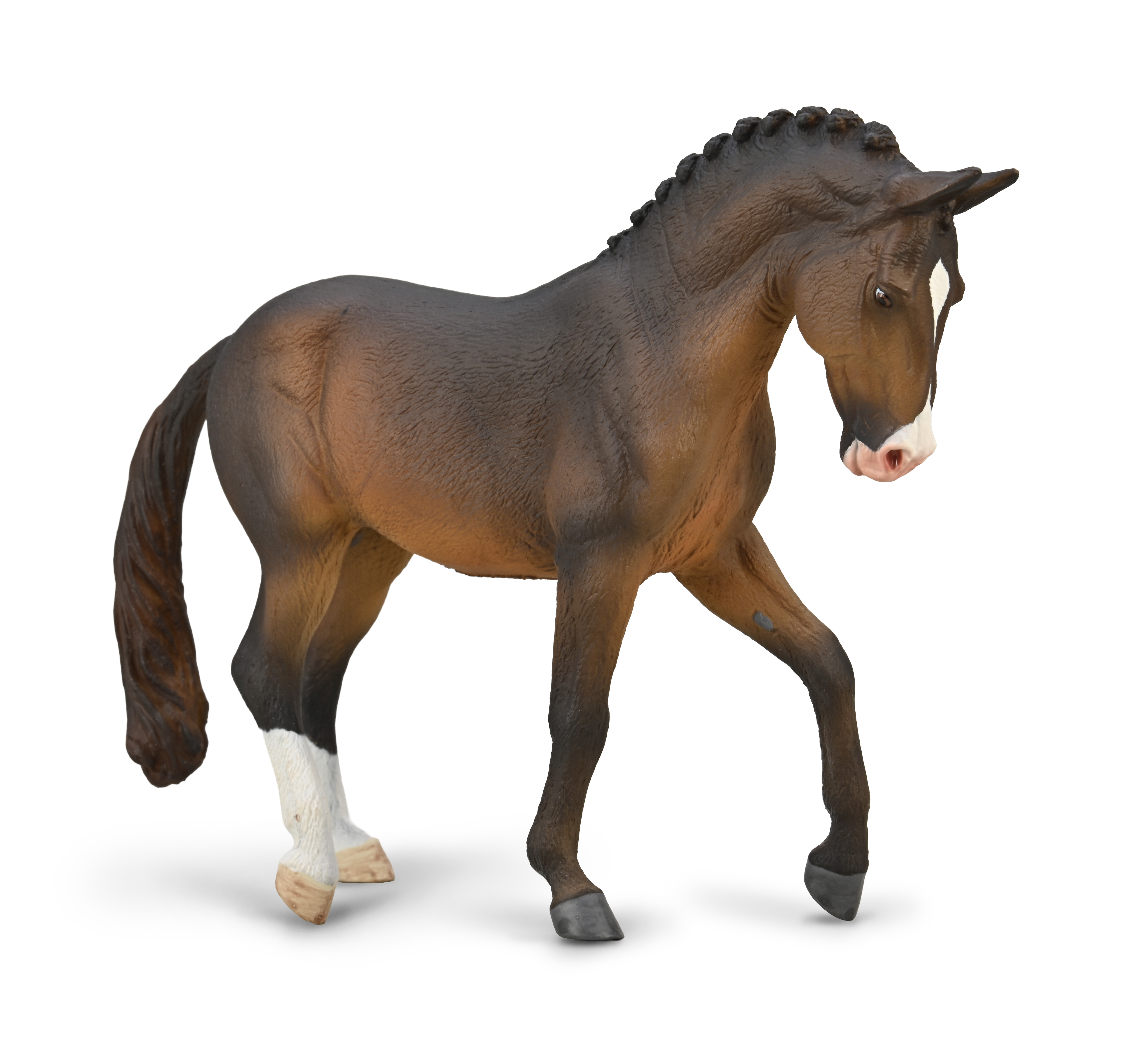 Trakehner Stallion Seal Bay