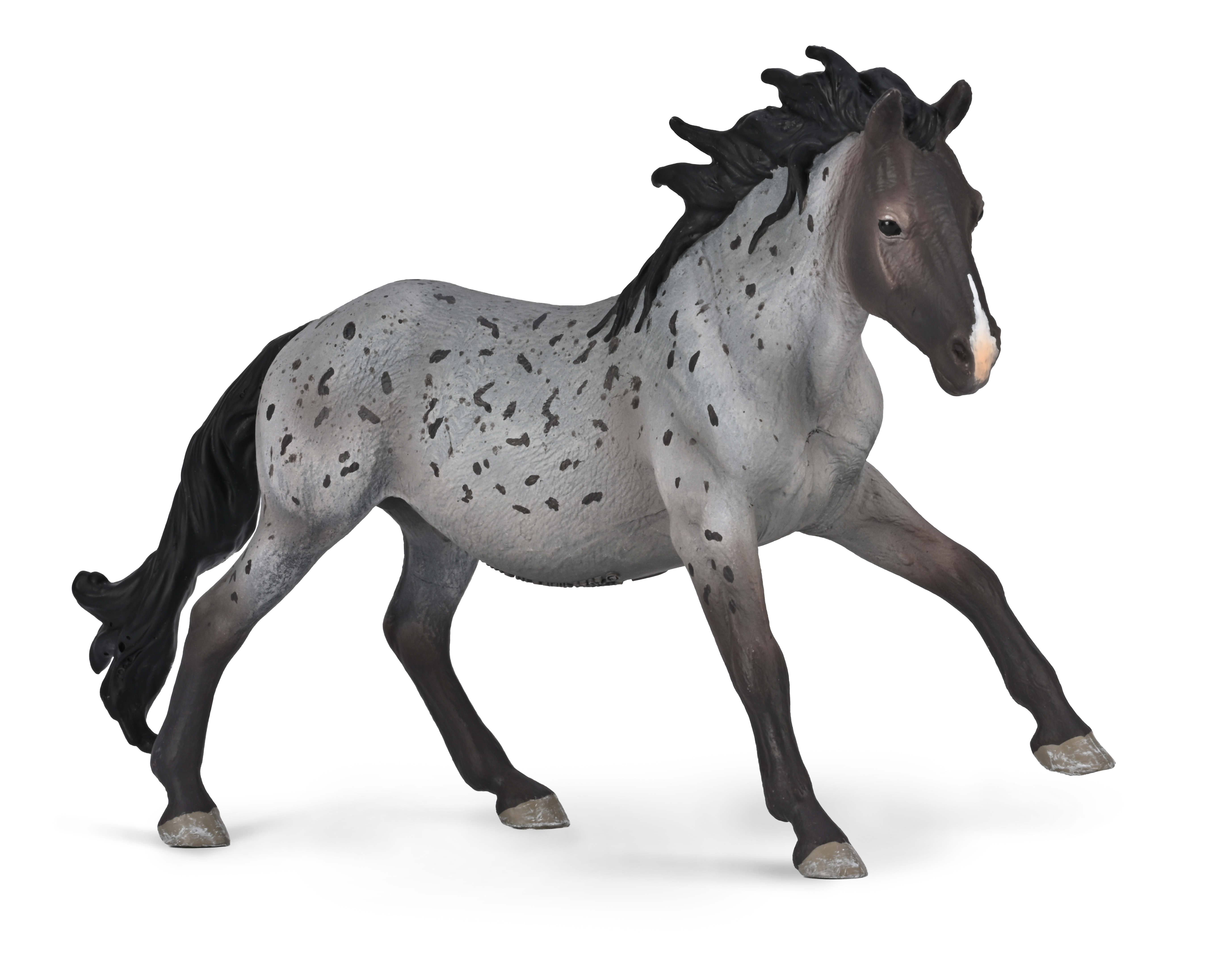 Nokota Stallion Blue Roan