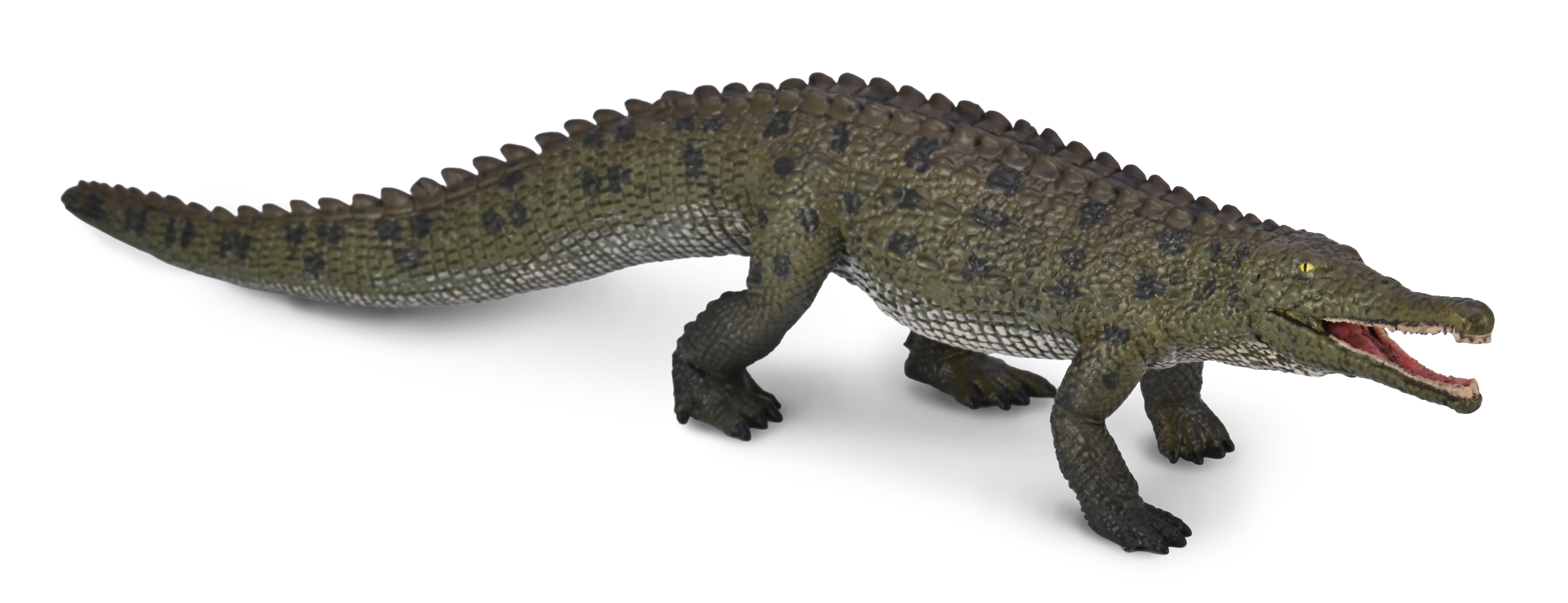 Colossosuchus techniensis with movable jaw - 1:40 Scale