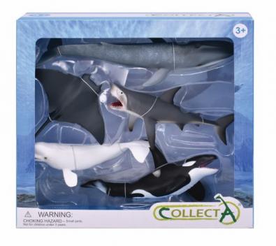 5 pcs Sea Life Boxed Set - box-sets