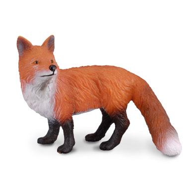 Red Fox - europe