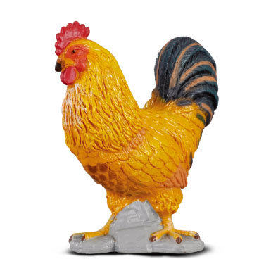 Cockerel