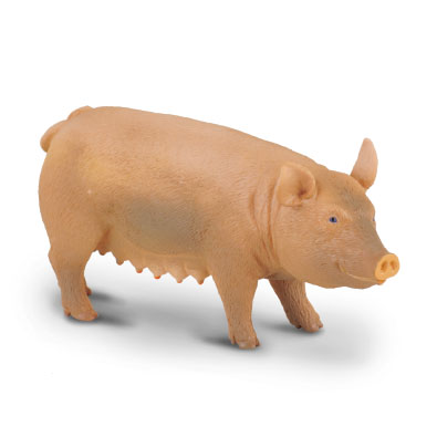 母豬 - 88006