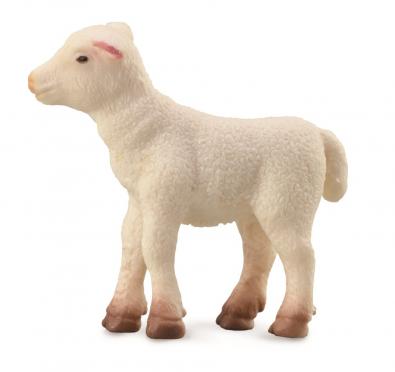 Lamb - farm-life