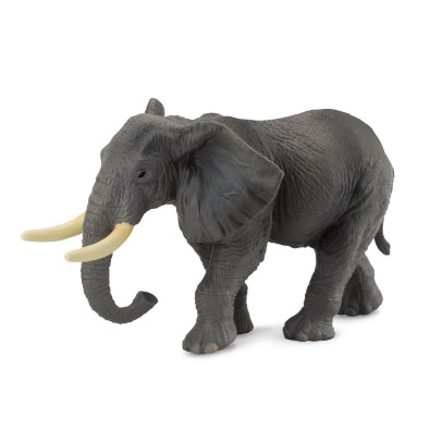 非洲象 - 88025