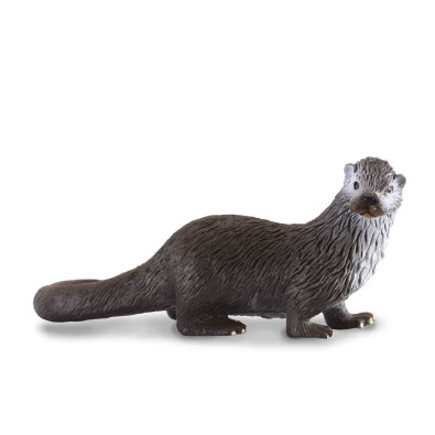 Nutria - 88053