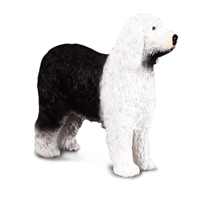  El Viejo Perro Pastor Ingles Mexican English Sheepdog