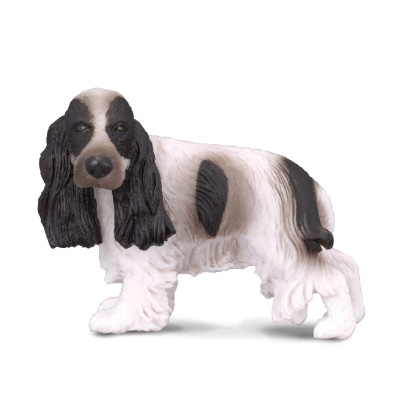 English Cocker Spaniel - cats-and-dogs