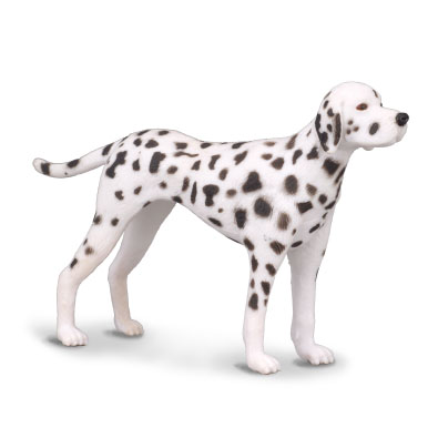 Dalmatian