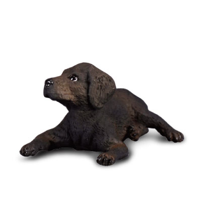 Cachorro de Labrador Retriever - 88077