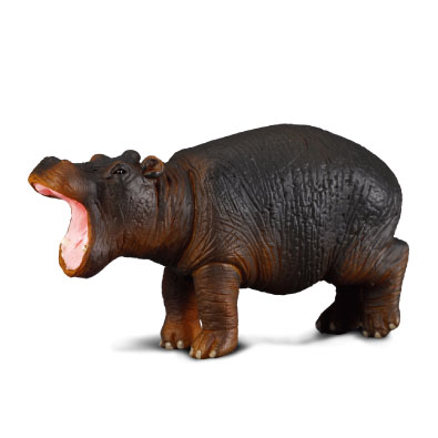 Hippopotamus Calf - africa