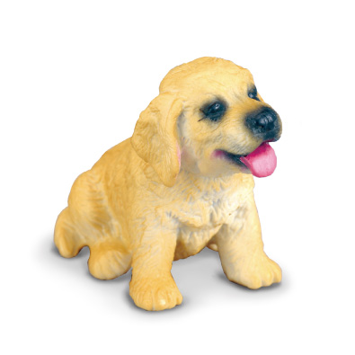 Cachorro de Golden Retriever