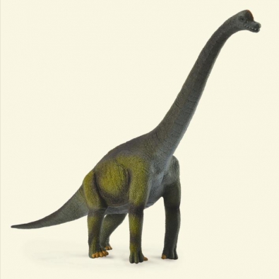 腕龙 - age-of-dinosaurs-popular-sizes