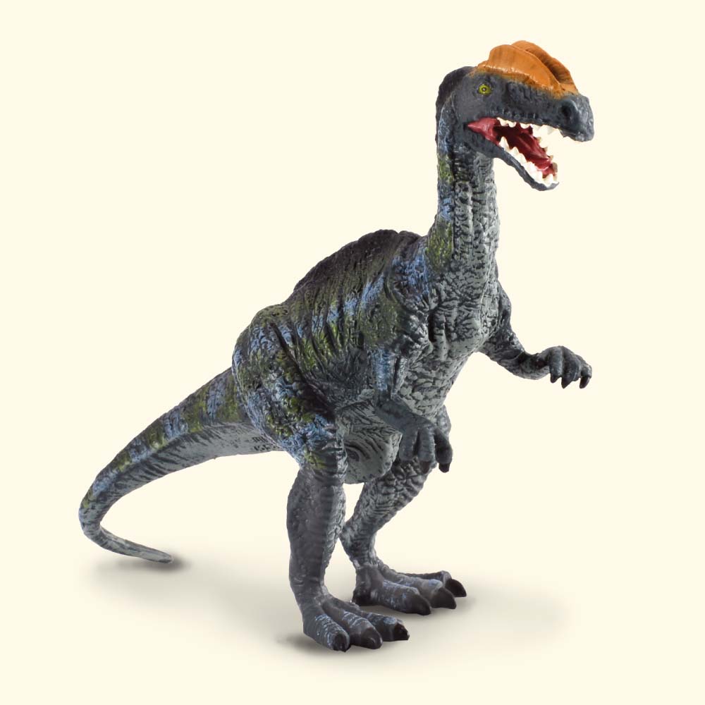 Dilophosaurus - Collecta Figures: Animal Toys, Dinosaurs, Farm, Wild, Sea,  Insect, Horses, Prehistoric, Woodlands, Dogs, Cats, Animal Replica