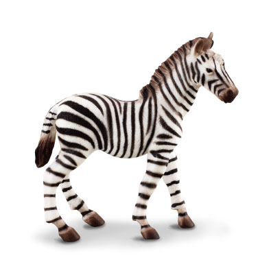 Zebra Foal - 88168