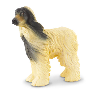 Afghan Hound - 88173