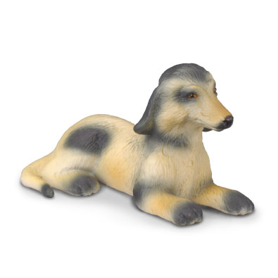 Afghan Hound Puppy - 88174