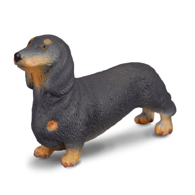 Dachshund - 88185