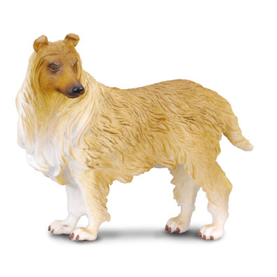 Collie de Pelo Rojo - cats-and-dogs