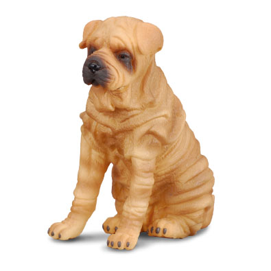 Shar Pei - 88193