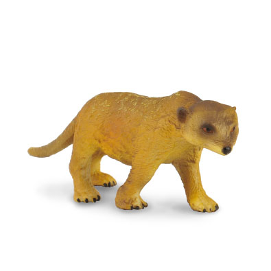 Meerkat - Walking - 88218