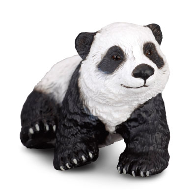 Cachorro de Panda Gigante - Sentado - asia-and-australasia