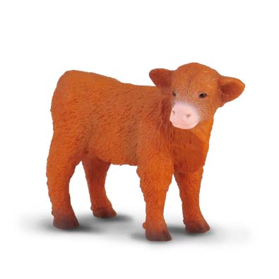 Highland Calf (Standing) - 88233