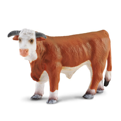 Hereford Bull - farm-life