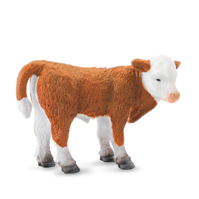 Hereford Calf (Standing) - 88236