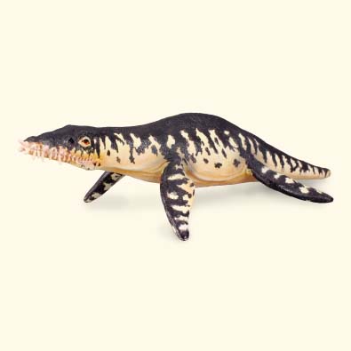 Liopleurodon - age-of-dinosaurs-popular-sizes