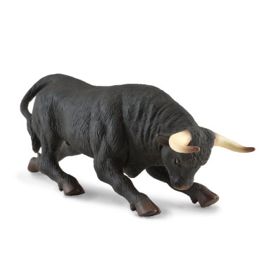 Spanish Black Fighting Bull - farm-life