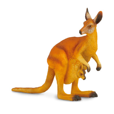 红袋鼠 - asia-and-australasia