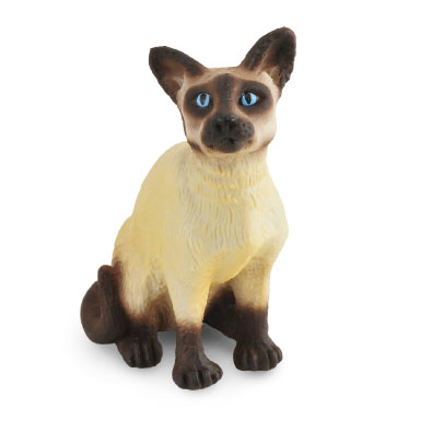 Siamese Cat - Sitting - cats-and-dogs