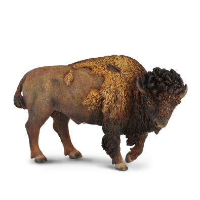 Bisonte Americano