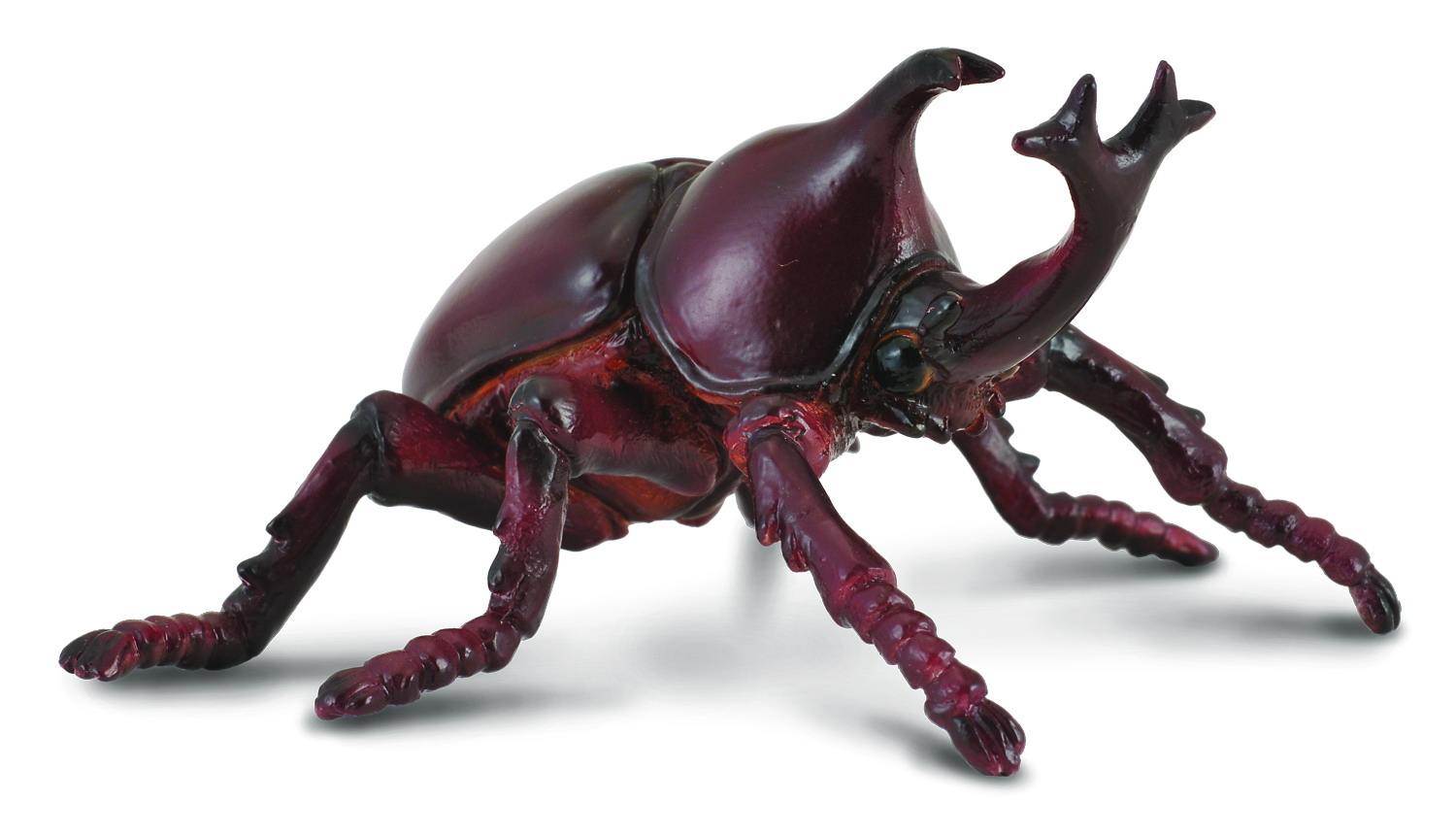 rhino beetle