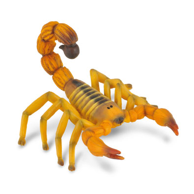 Yellow Fat-Tailed Scorpion