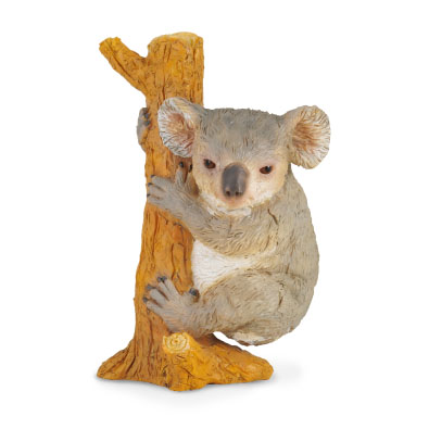 Koala - Trepando - asia-and-australasia