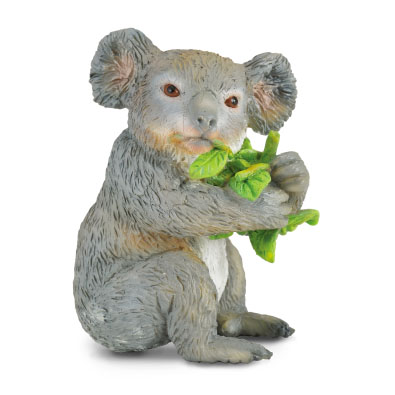 Koala - Eating Eucalyptus - 88357