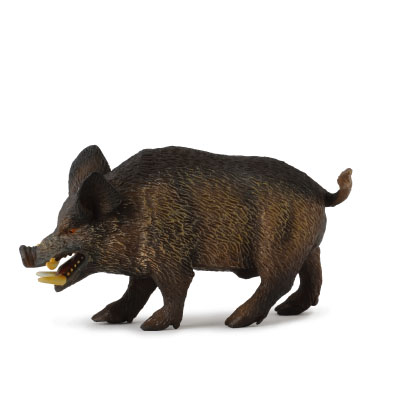 公野猪 - asia-and-australasia