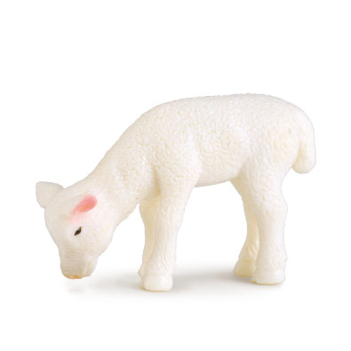 Lamb - Grazing - 88393