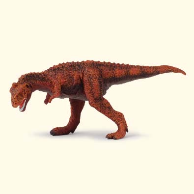 Majungatholus - age-of-dinosaurs-popular-sizes