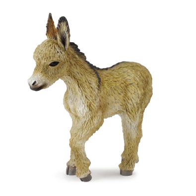 Donkey Foal - Walking - 88409