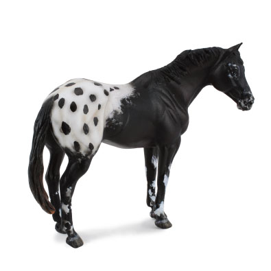 Semental Negro con Manchas - 88437